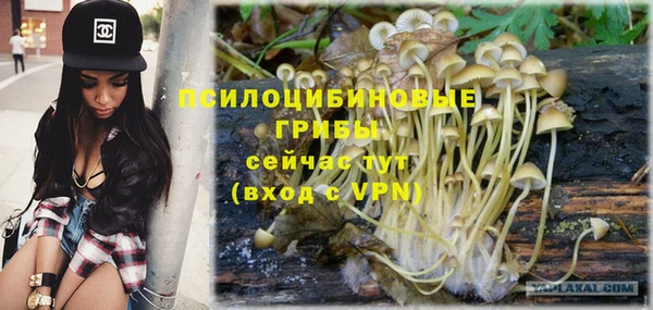 не бодяженный Абдулино