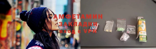 сатива Новозыбков