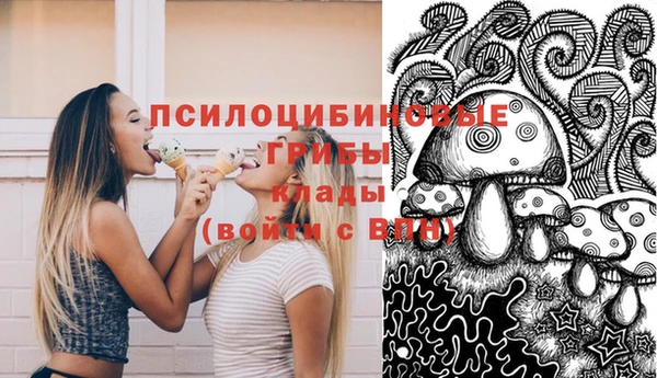 ПСИЛОЦИБИНОВЫЕ ГРИБЫ Абинск