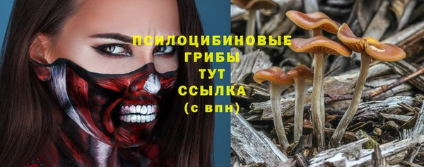 ПСИЛОЦИБИНОВЫЕ ГРИБЫ Абинск