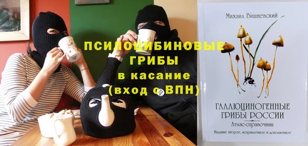 мдпв Абаза